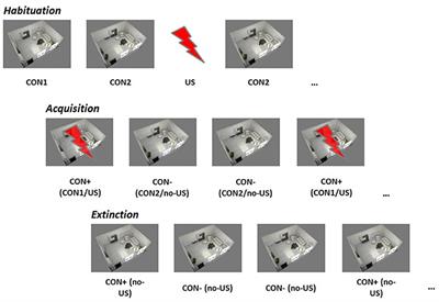 Implicit Learning in Transient Global Amnesia and the Role of Stress